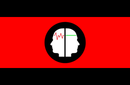 detector-na-lajata[1]